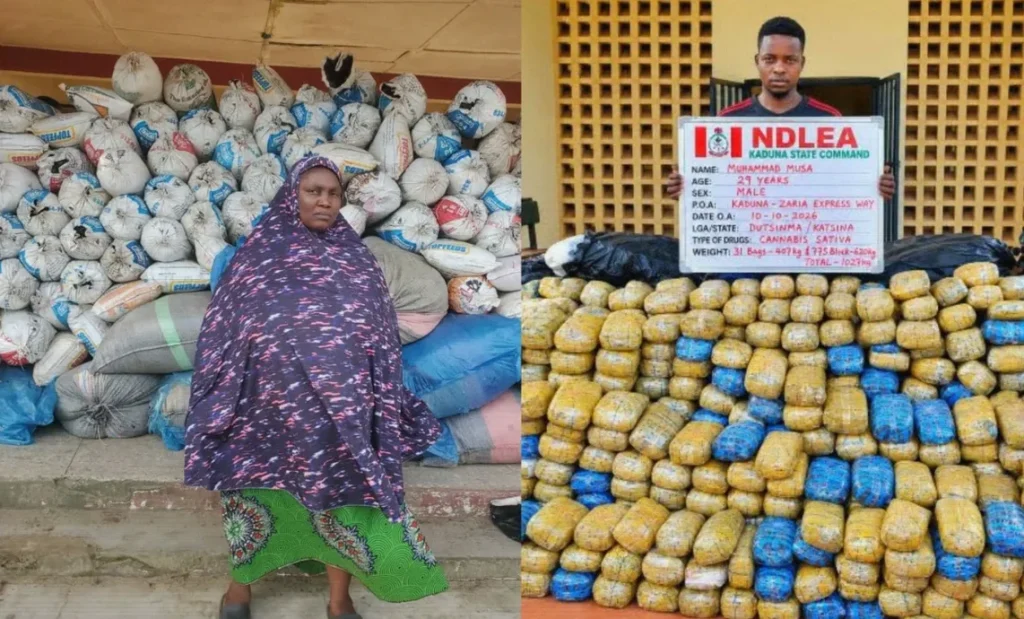 NDLEA Detains 83-Year-Old Woman as Nationwide Drug Seizures Rise