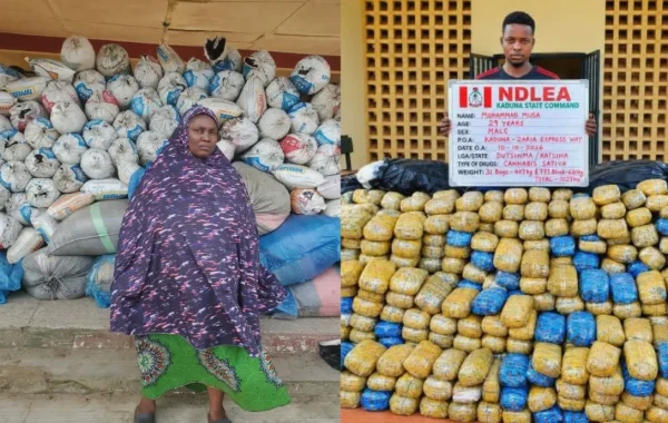 NDLEA Detains 83-Year-Old Woman as Nationwide Drug Seizures Rise