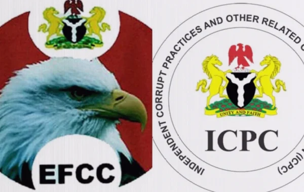Nigerian Regulators Warn Celebrities Over Fraudulent Product Endorsements