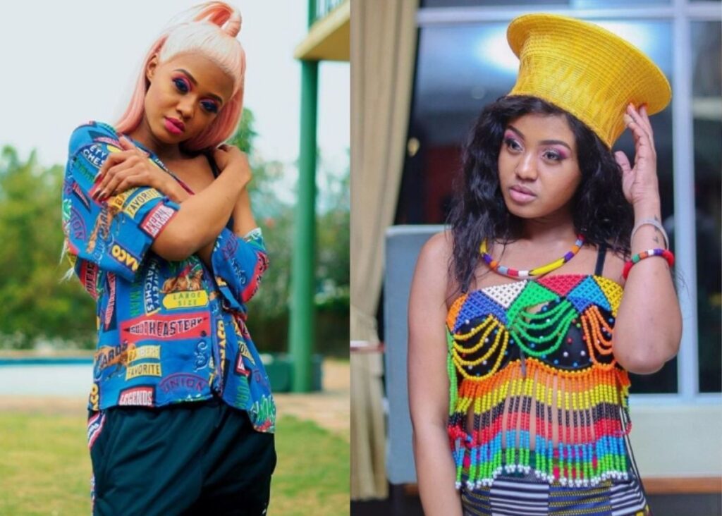 Babes Wodumo still working with Mampintsha