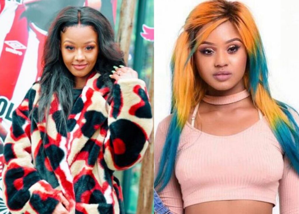 WATCH: Babes Wodumo Kisses Another Man