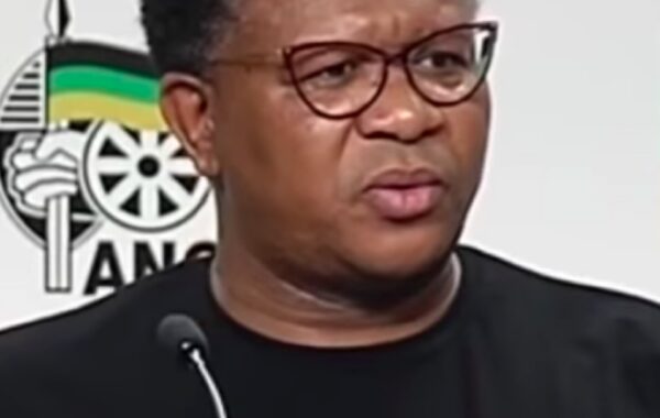 Mbalula Expresses His Shock Over Rasta’s Painting Of Him
