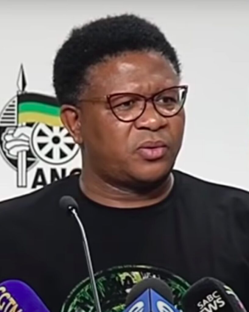 Fikile Mbalula: Don’t donate kids to me!