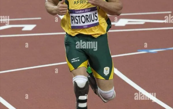 Pistorius’s brother in court