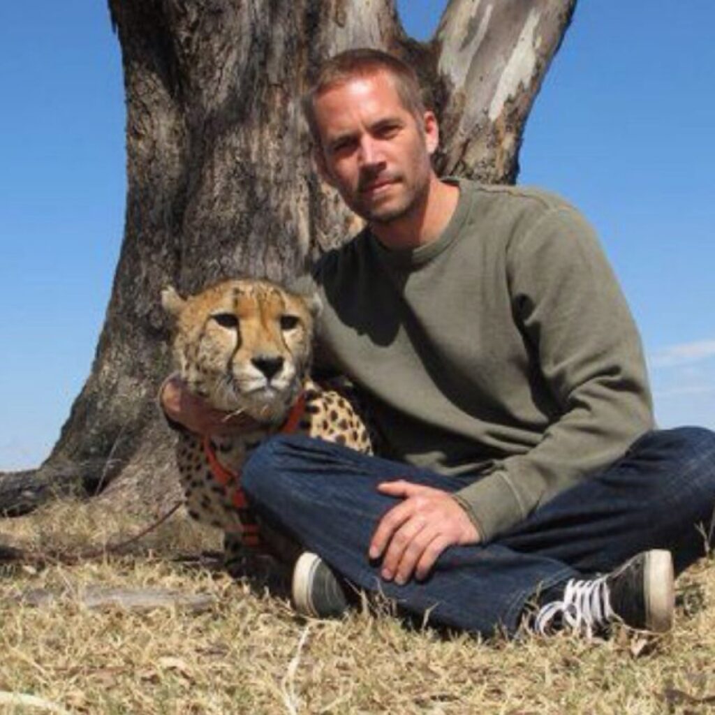 Paul Walker