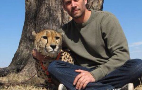 5 Most moving Paul Walker tributes