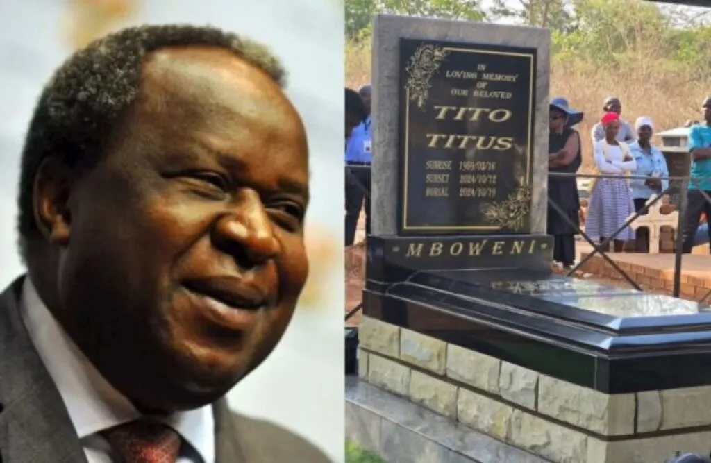 Tito Mboweni Takes On The #JerusalemDanceChallenge