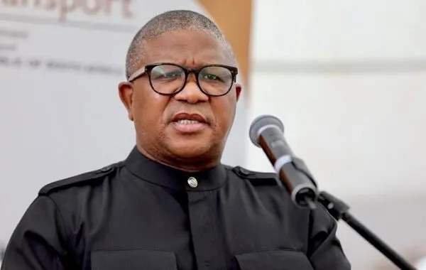 Fikile Mbalula
