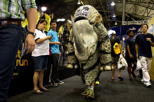 Man in rhino suit finishes Comrades