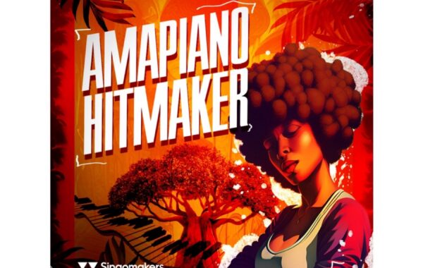 Amapiano Hit Maker TpZee Allegedly Down & Out