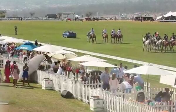 Highlights from BMW Polo event