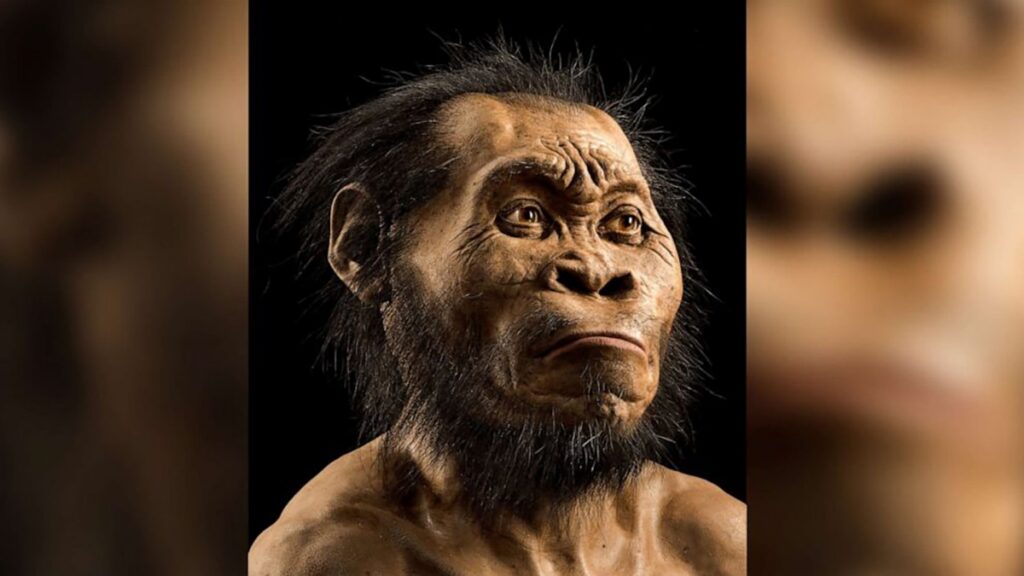 Date My Family: Naledi & Lukas are not dating