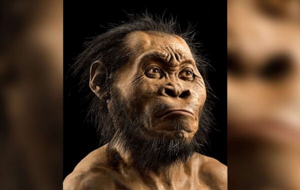 Date My Family: Naledi & Lukas are not dating