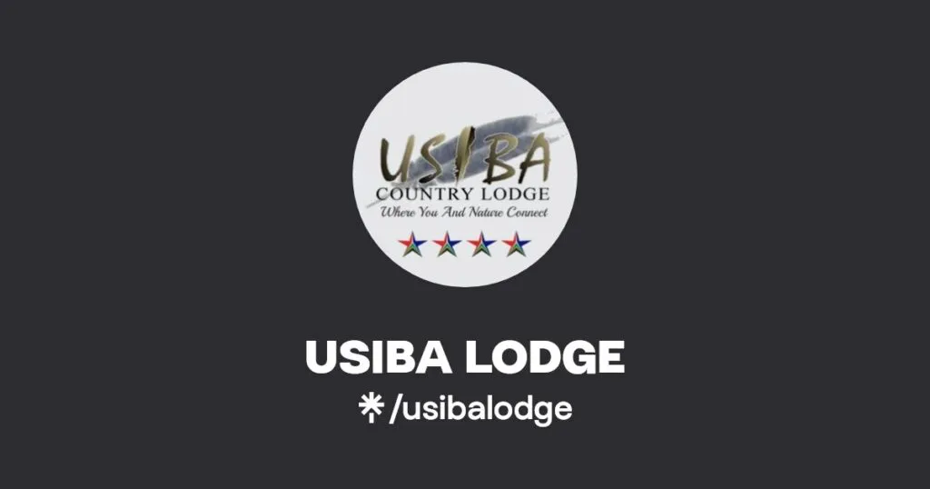 In pictures: Celebrities at the Usiba Awards