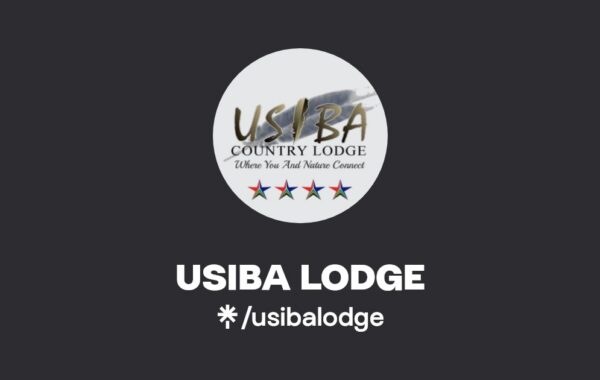 In pictures: Celebrities at the Usiba Awards