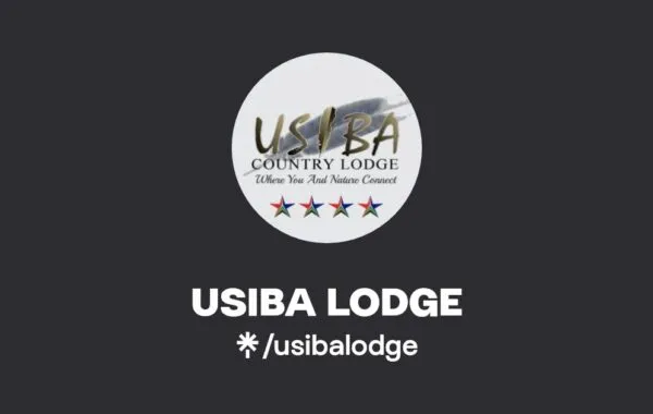 In pictures: Celebrities at the Usiba Awards
