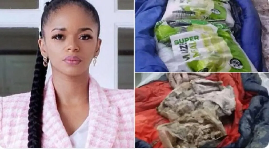 Dr Nandipha Magudumana On The Three Bodies She Claimed From Mortuary