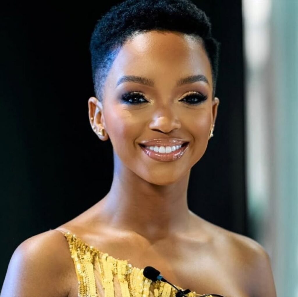 Mzansi’s best celeb mannequin challenges