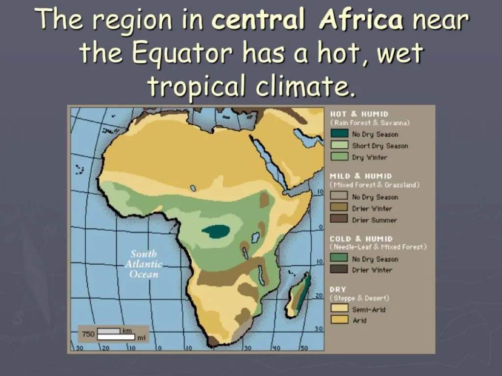 What’s Hot In All Of Africa?