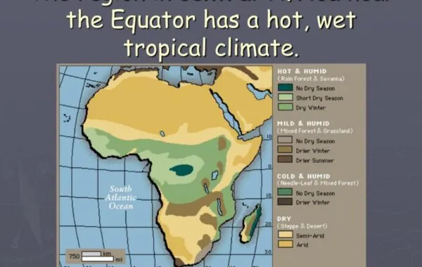 What’s Hot In All Of Africa?
