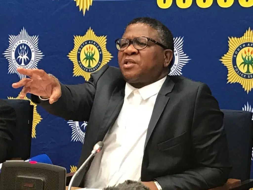 Uber allows celebs to practice celeb status without cars says Fikile Mbalula