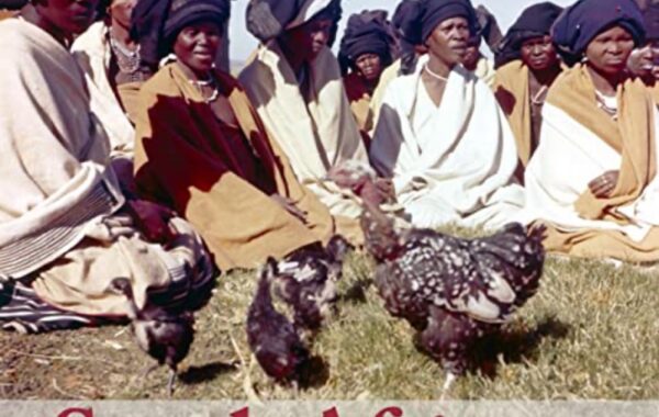 Xhosa musicians dominating the South African music industry
