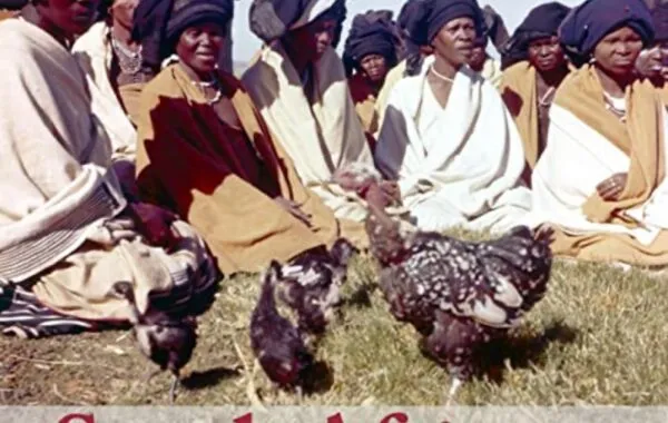 Xhosa musicians dominating the South African music industry