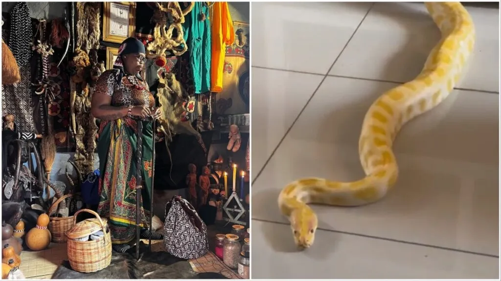[PICS] Gogo Maweni’s ‘Outrageous’ Snake Sale