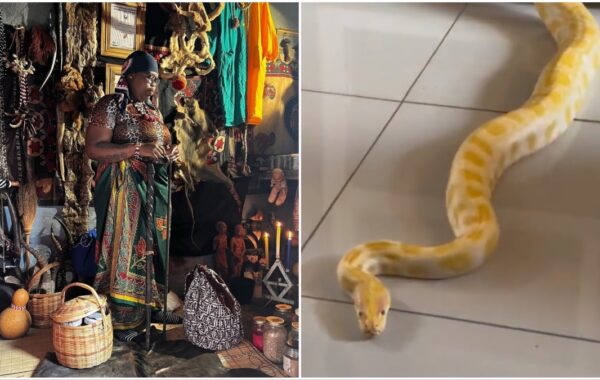 [PICS] Gogo Maweni’s ‘Outrageous’ Snake Sale