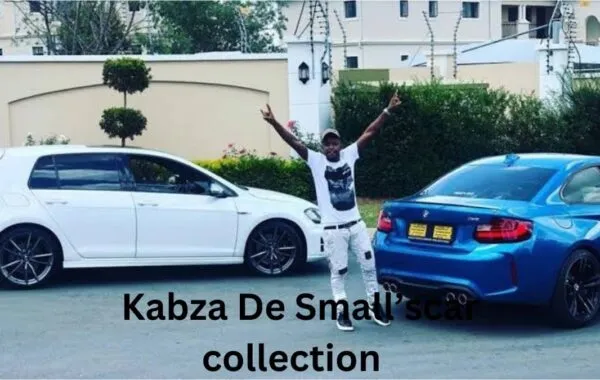 Kabza De Small’s Net Worth, Booking Fees, House And Cars