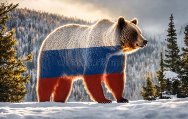 Congratulations to these Russian Bear & Sneakerness winners