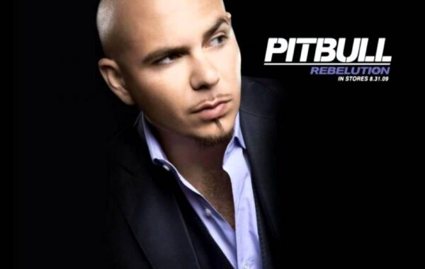 The Script wants us all to stop listening to Pitbull