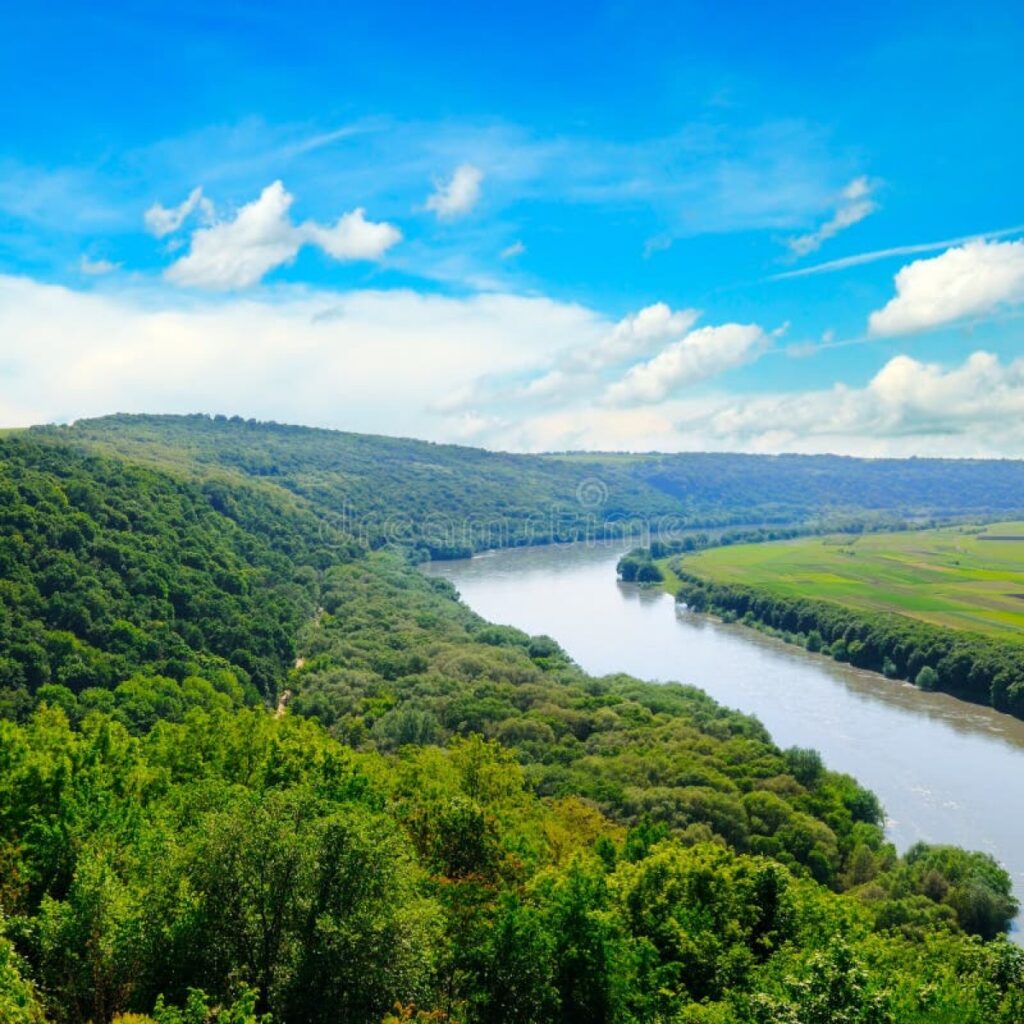 The River: Cobra left with no choice