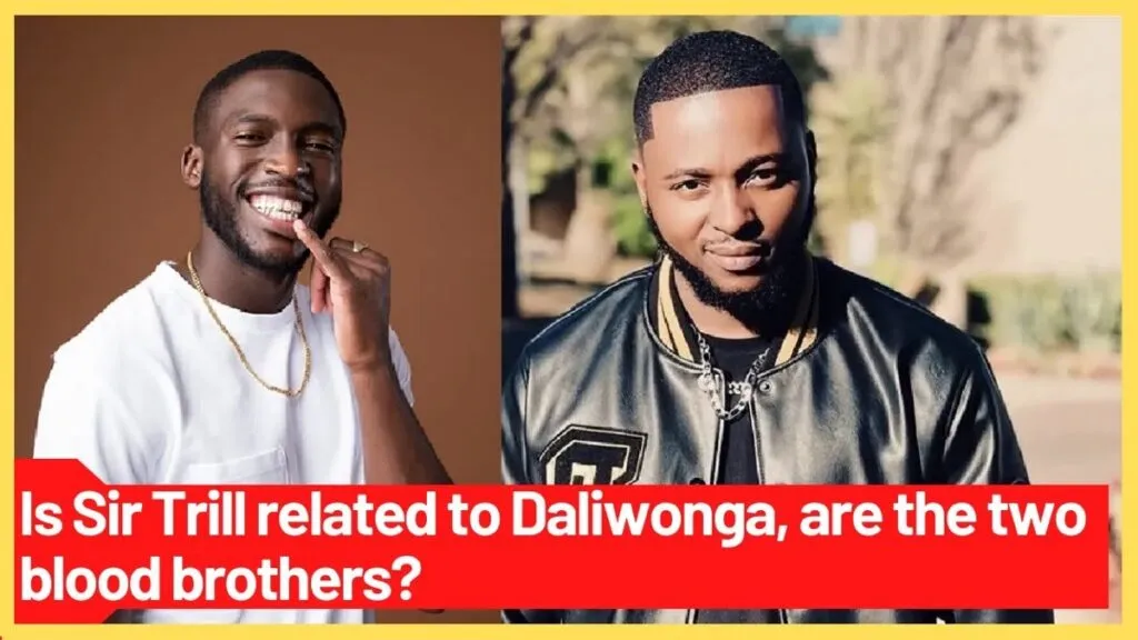 Are Sir Trill And Daliwonga Brothers?