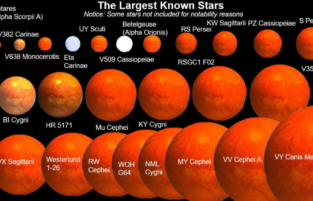 Our Predictions For The Biggest Stars Of 2021