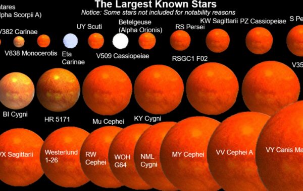 Our Predictions For The Biggest Stars Of 2021