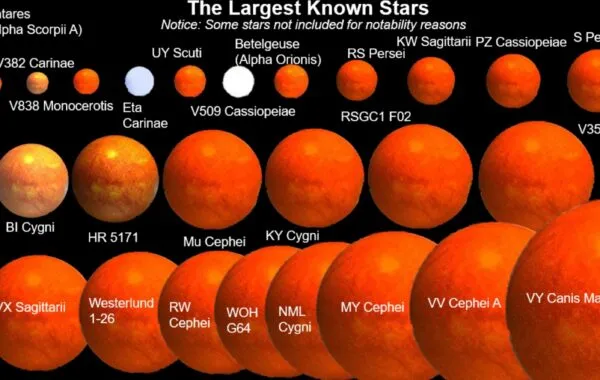 Our Predictions For The Biggest Stars Of 2021