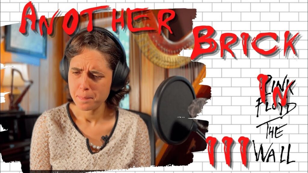 TNS Bricks Another Musician