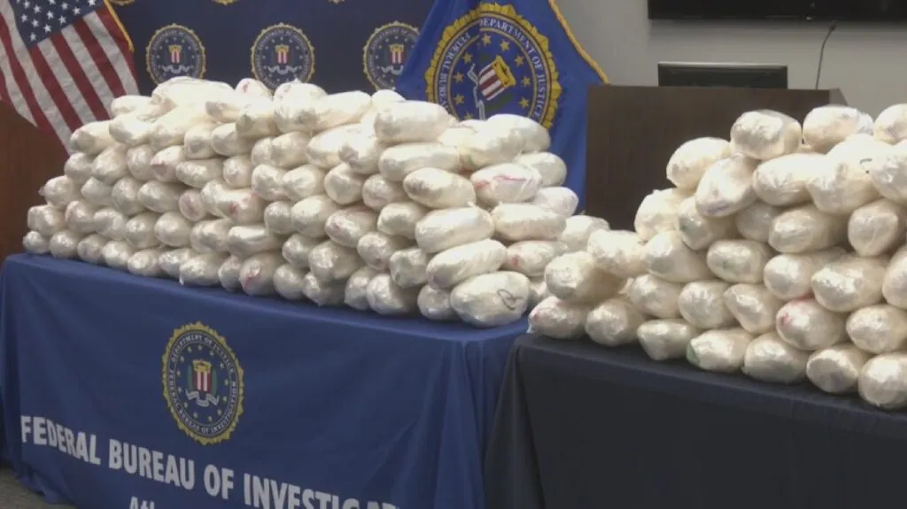 Drug bust makes Stevie French famous-er