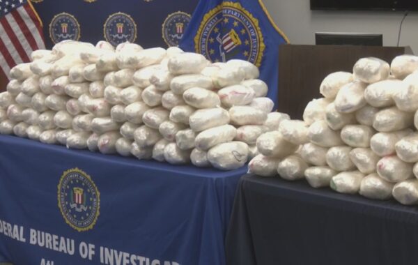Drug bust makes Stevie French famous-er