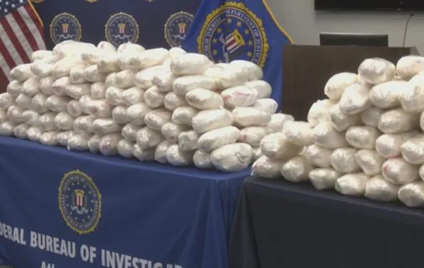 Drug bust makes Stevie French famous-er