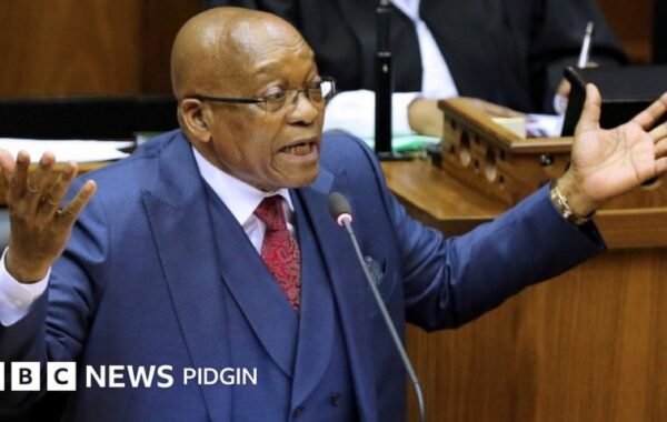 ZAlebs react to former President Jacob Zuma’s resignation