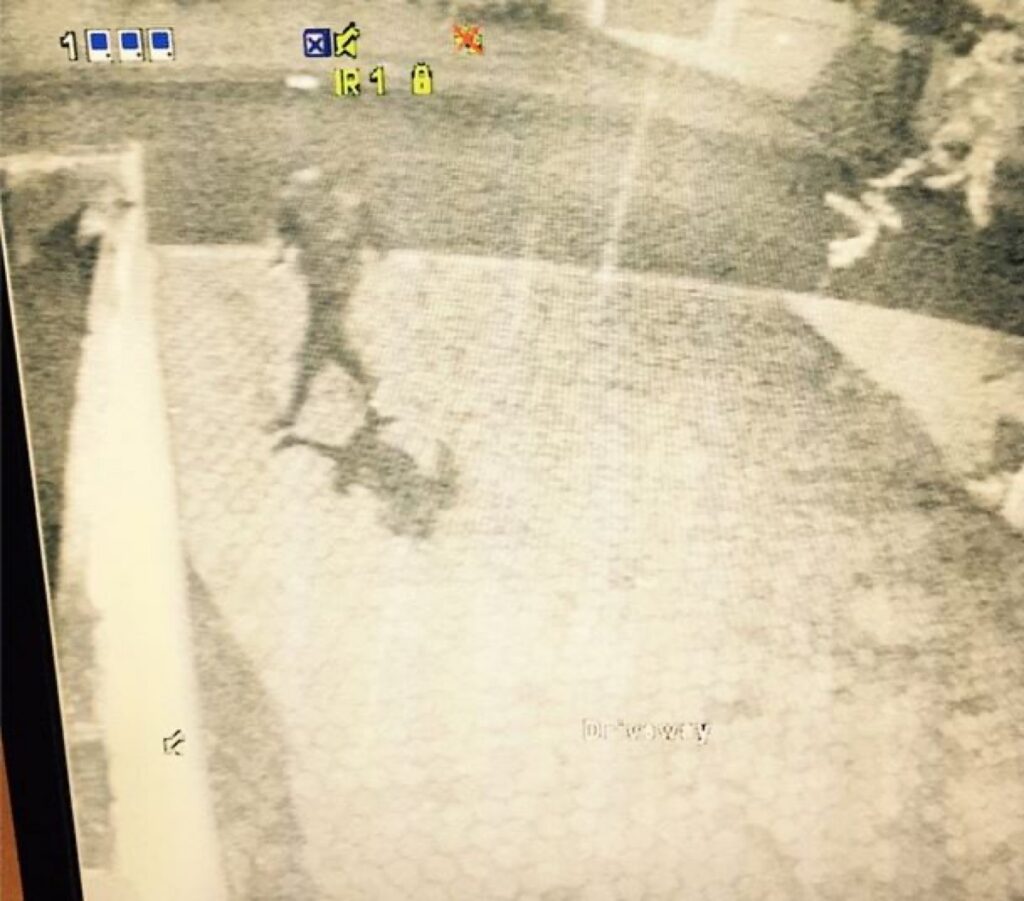 Twins on deck nearly fall victim to crime