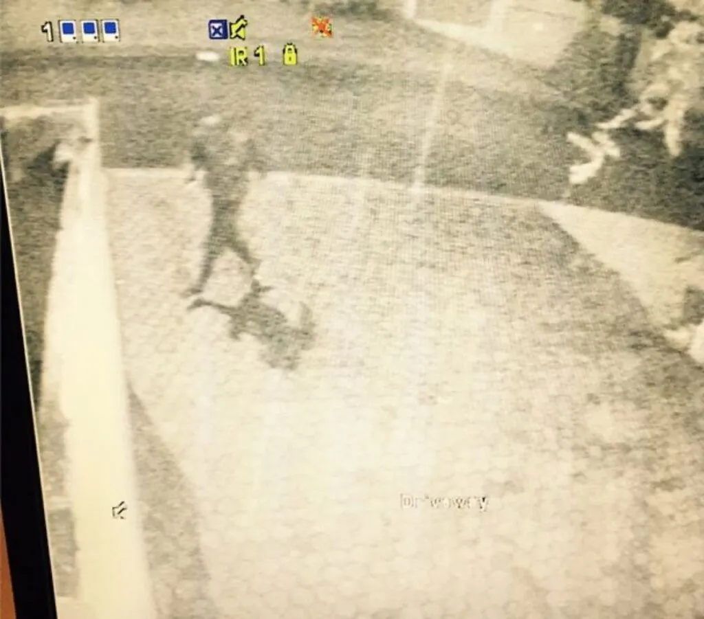 Twins on deck nearly fall victim to crime