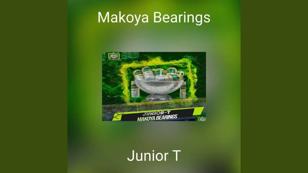 Twenty-One Years Of Makoya Bearings!