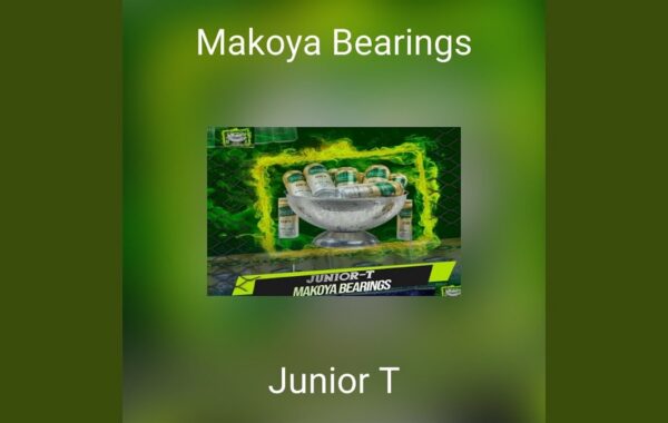 Twenty-One Years Of Makoya Bearings!