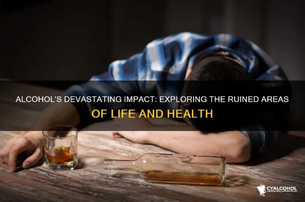 #DateMyFamily: Alcohol ruined everything