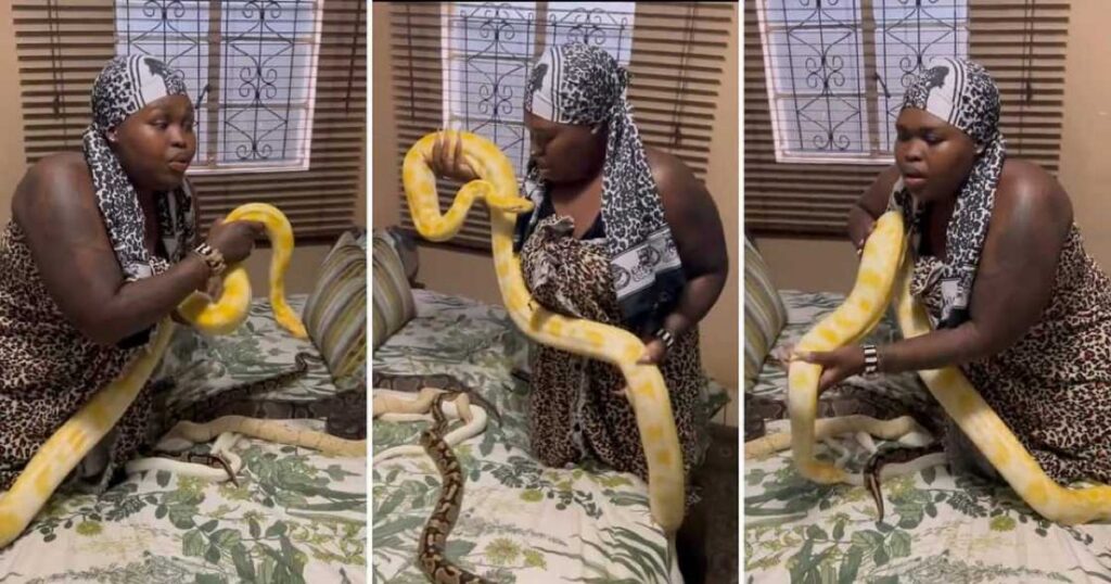 Gogo Maweni And Her Python Cause A Stir
