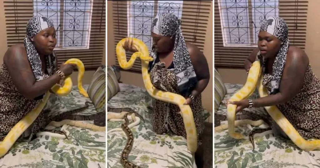 Gogo Maweni And Her Python Cause A Stir