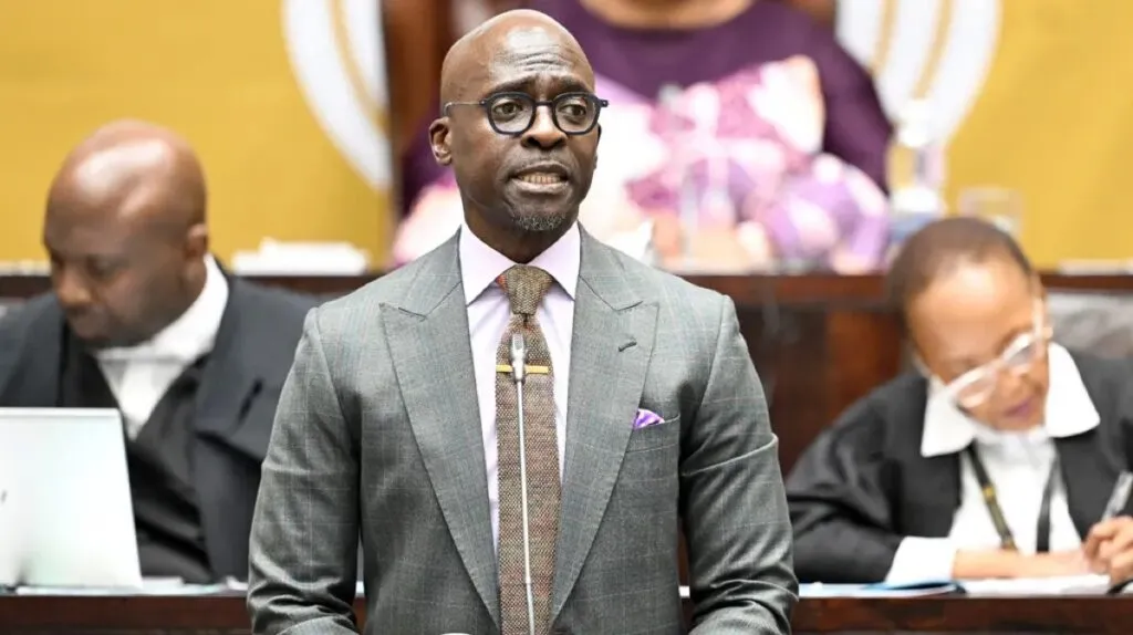Celebs react to Minister Malusi Gigaba’s #BudgetSpeech2018